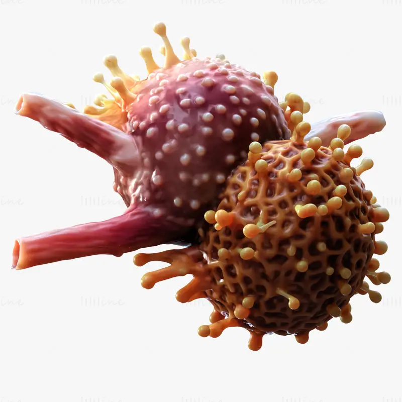 Modello 3D realistico di tumore a cellule cancerose