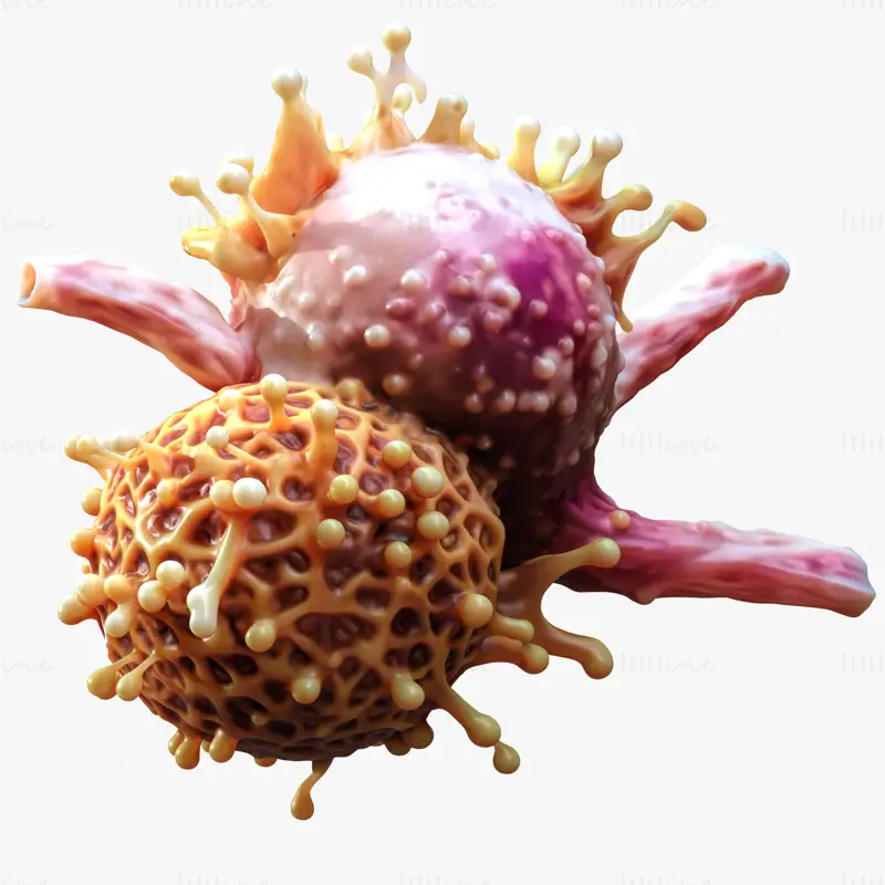 Modello 3D realistico di tumore a cellule cancerose