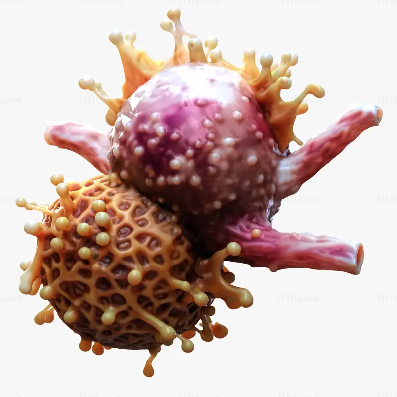 Modello 3D realistico di tumore a cellule cancerose