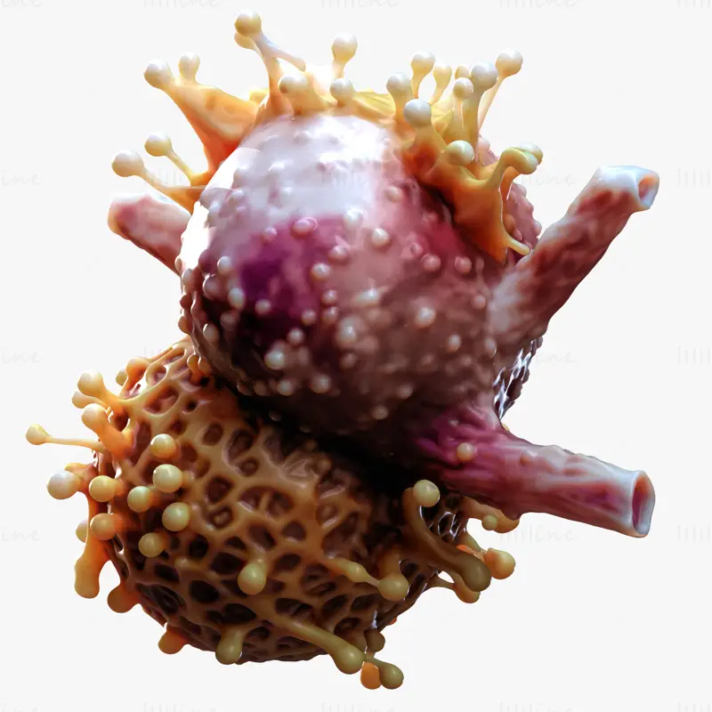 Modello 3D realistico di tumore a cellule cancerose