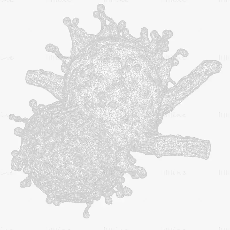 Modello 3D realistico di tumore a cellule cancerose