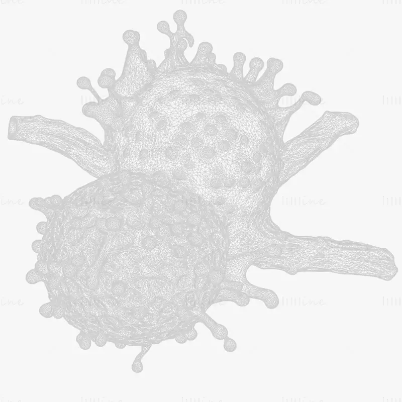 Modello 3D realistico di tumore a cellule cancerose