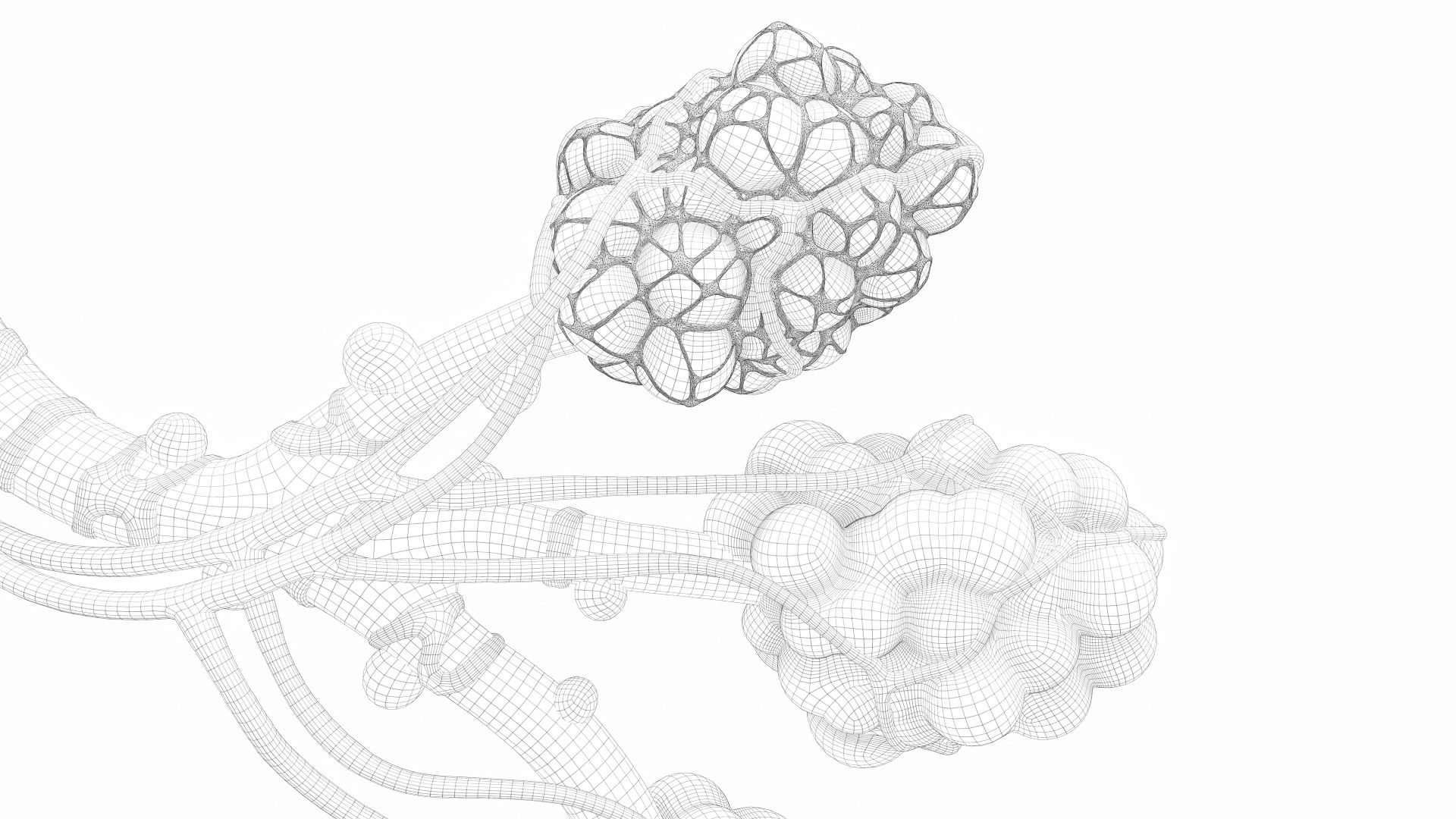 Modelo 3D de anatomía de alvéolos de bronquios humanos realistas