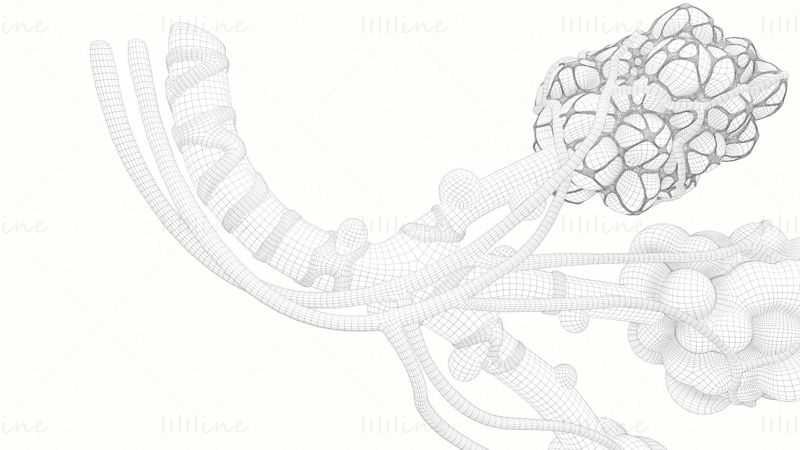 Realistisch 3D-model van de anatomie van de longblaasjes van de menselijke bronchiën