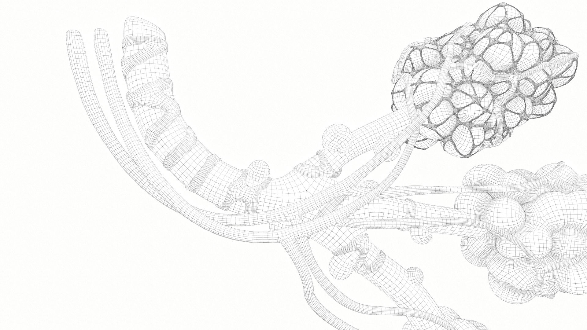 Realistic Human Bronchi Alveoli Anatomy 3D Model