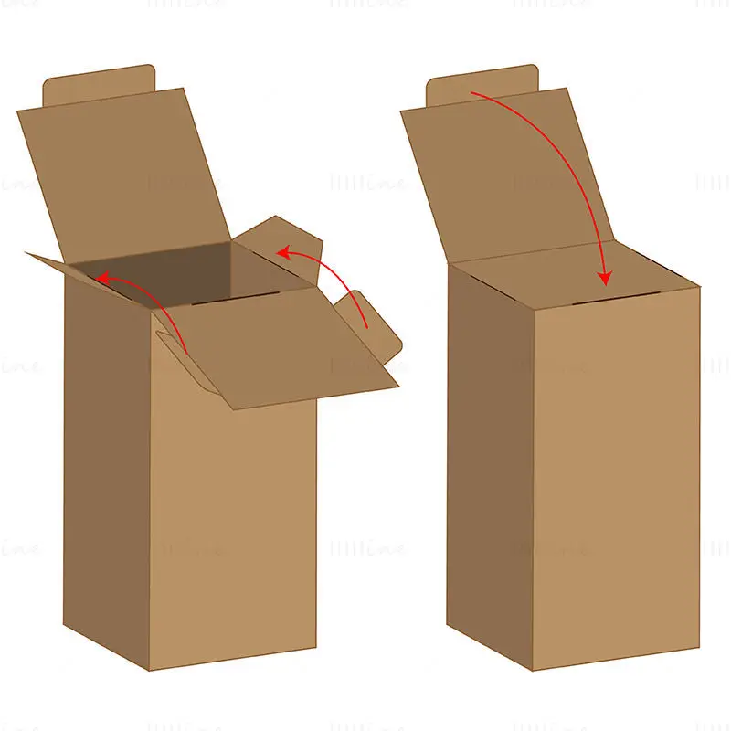 Rectangular packaging box dieline vector