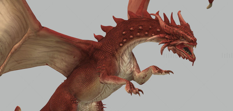 Red Dragon 3D Printing Model