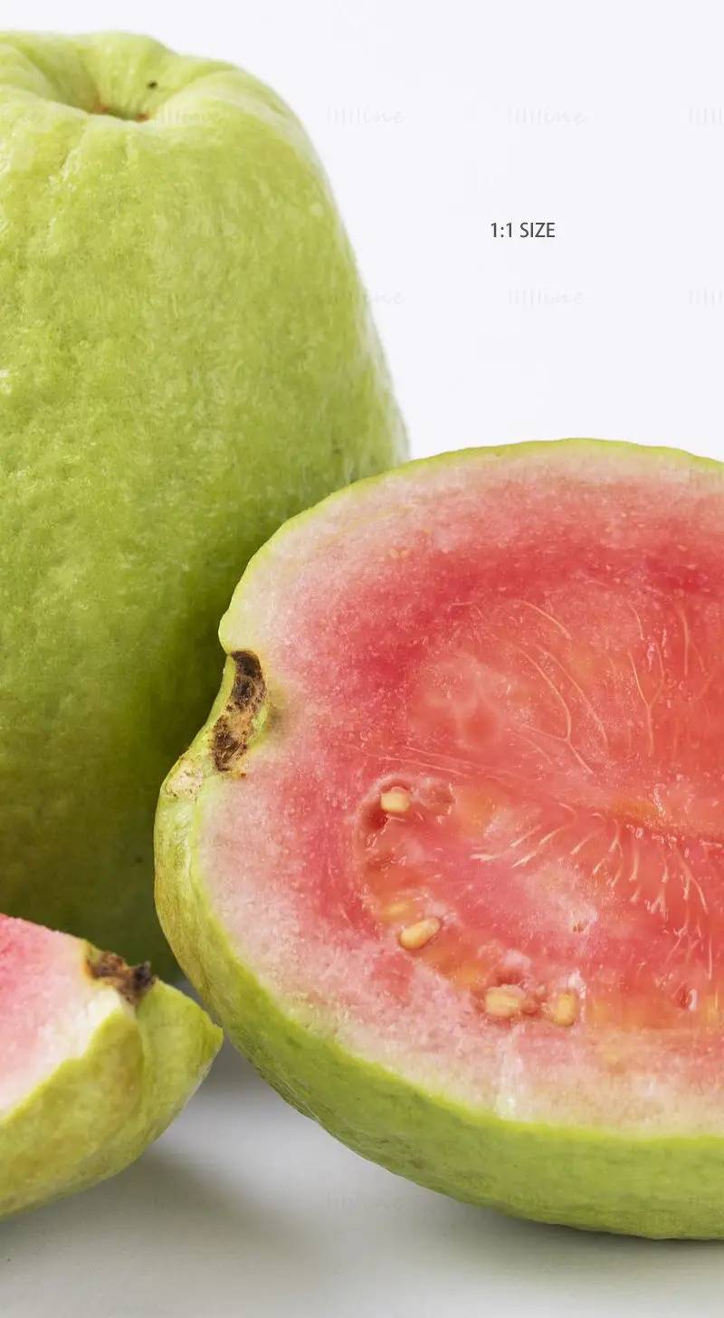 Red guava image