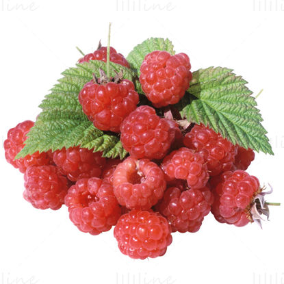 Rote Himbeere PNG