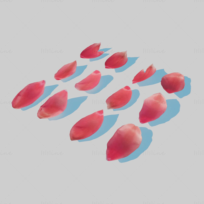 Modelo 3D de pétalos de tulipán rojo