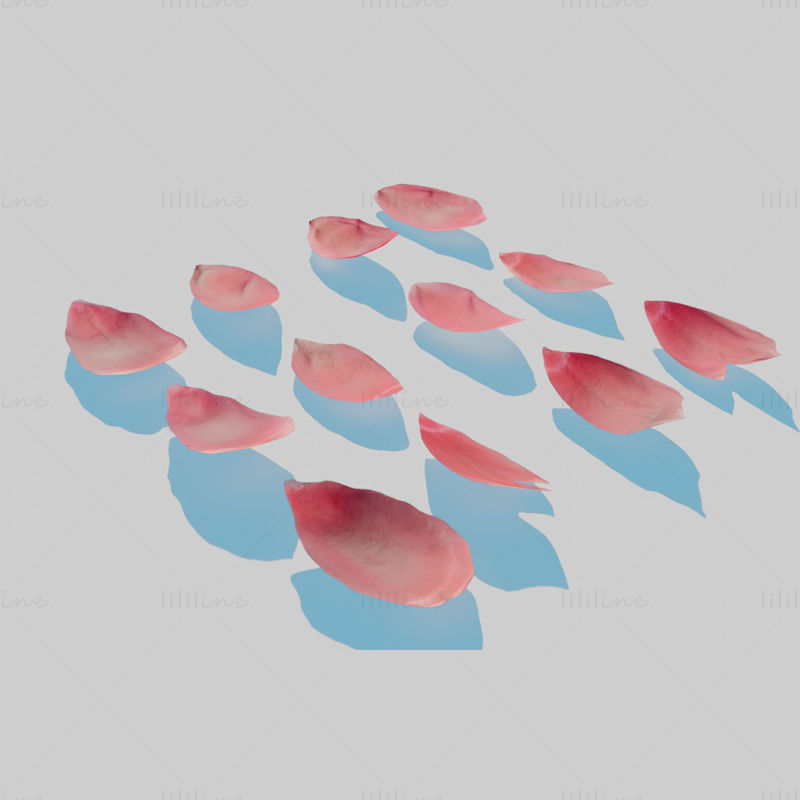 Rote Tulpenblätter 3D-Modell