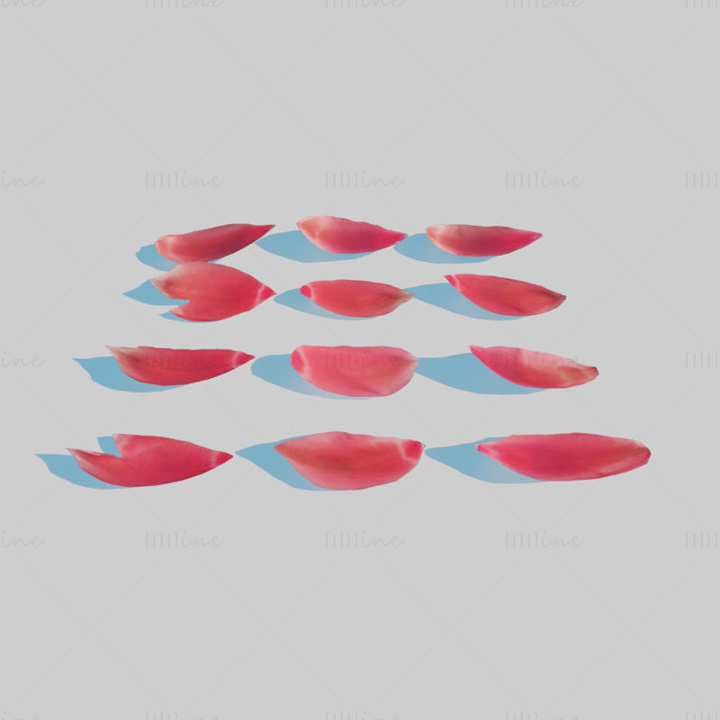 Modelo 3D de pétalos de tulipán rojo