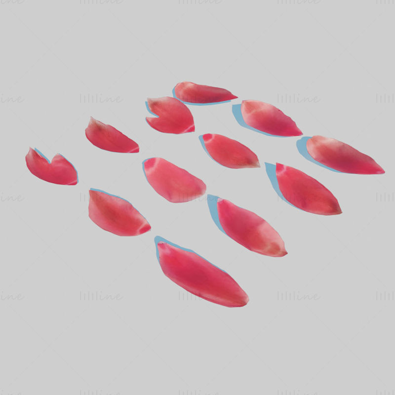 Red Tulip Petals 3D Model