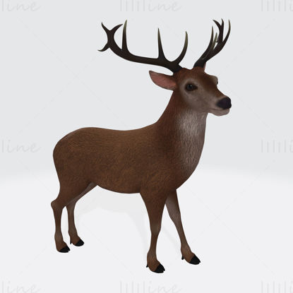 驯鹿3D打印模型