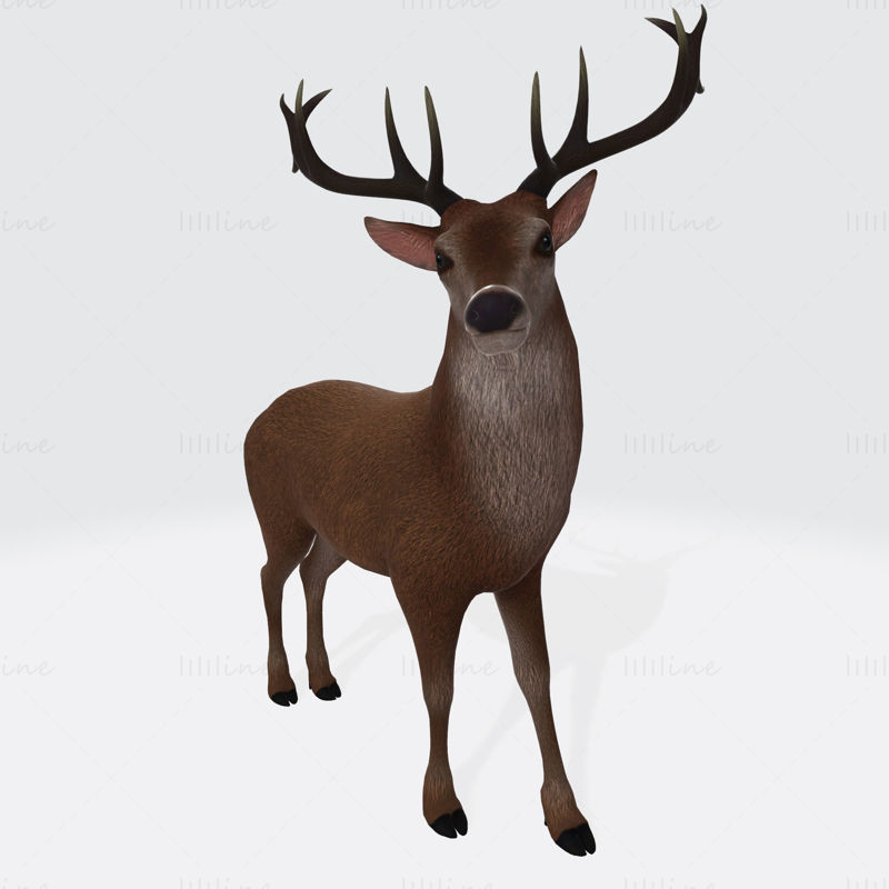 Reindeer 3D Printing Model