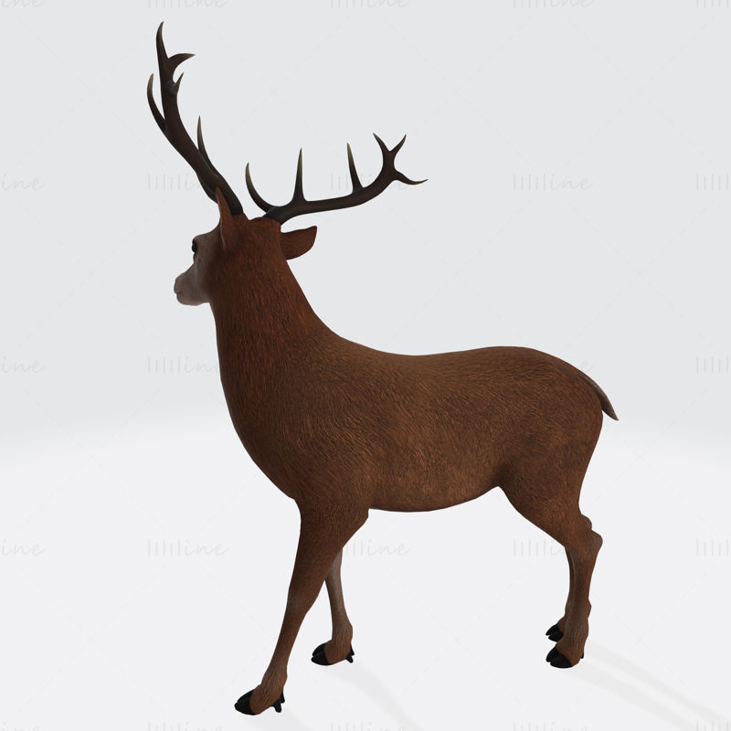 Reindeer 3D Printing Model