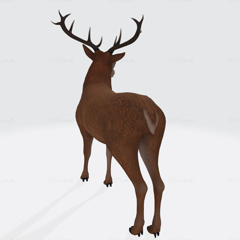 Reindeer 3D Printing Model