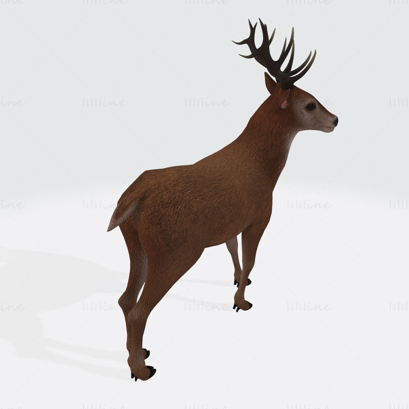 Reindeer 3D Printing Model