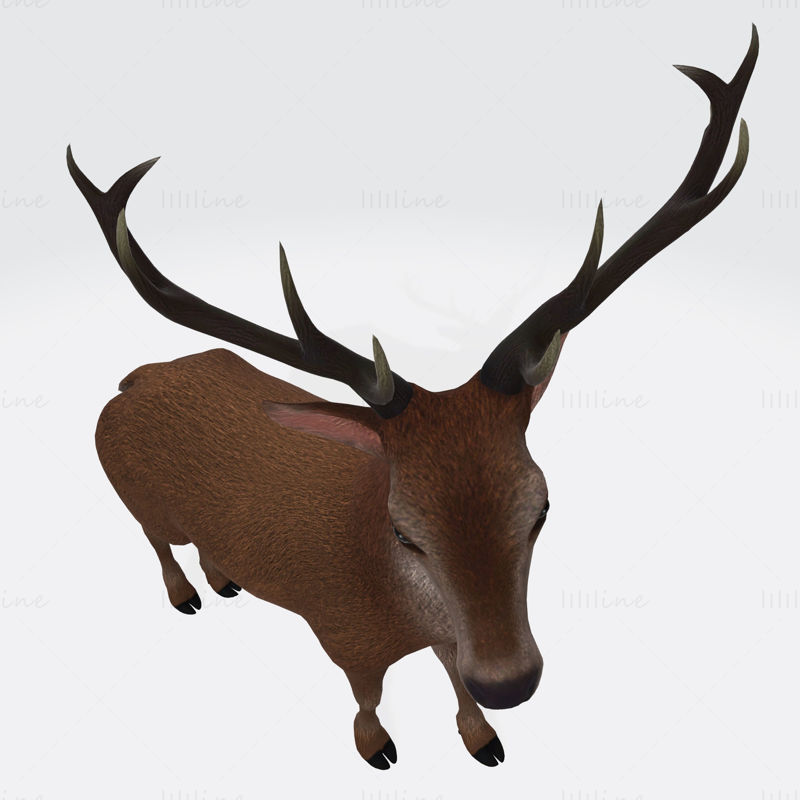 Reindeer 3D Printing Model