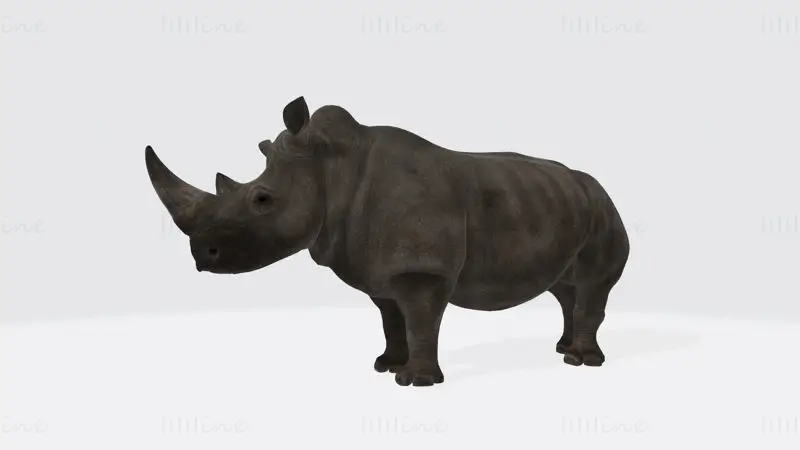 Rhino Animal 3D Print Model