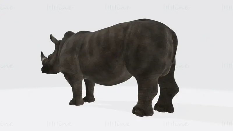 Rhino Animal 3D Print Model