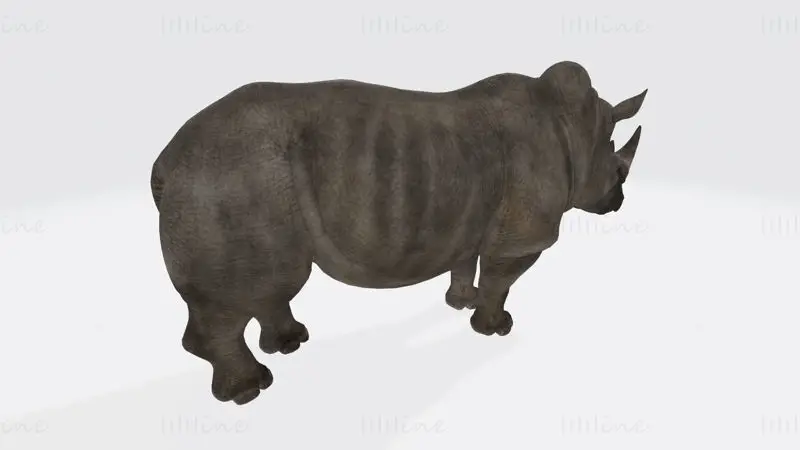 Rhino Animal 3D Print Model