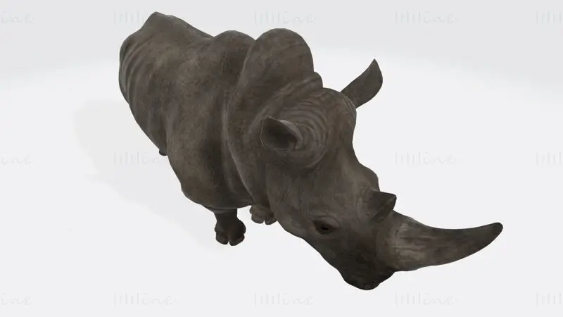 Modello di stampa 3D di un animale rinoceronte