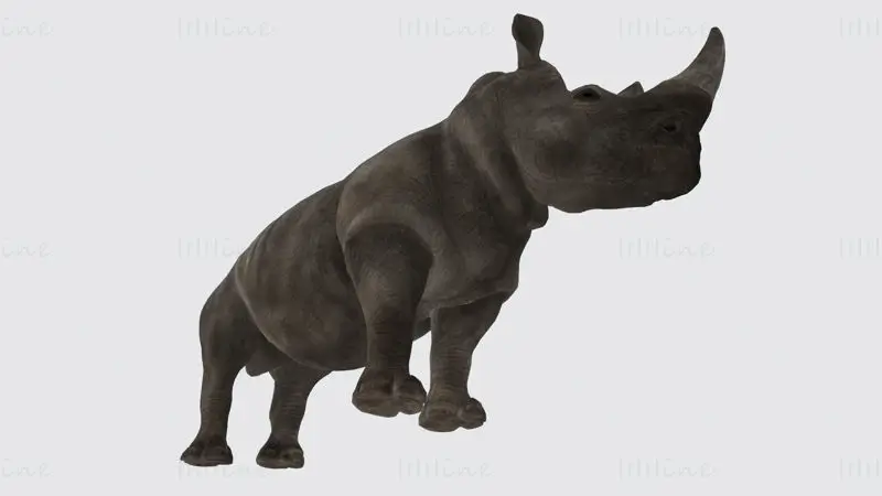 Rhino Animal 3D Print Model