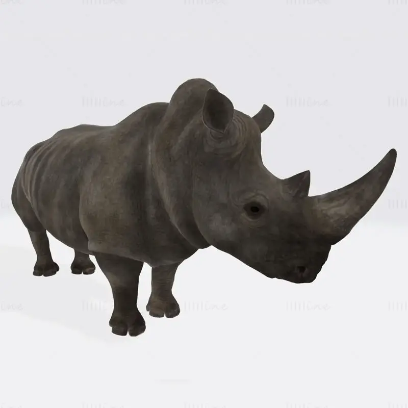 Rhino Animal 3D Print Model