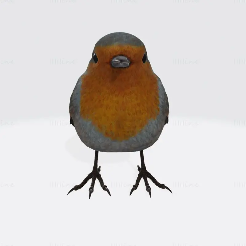 Modelo de impresión 3D del pájaro Robin
