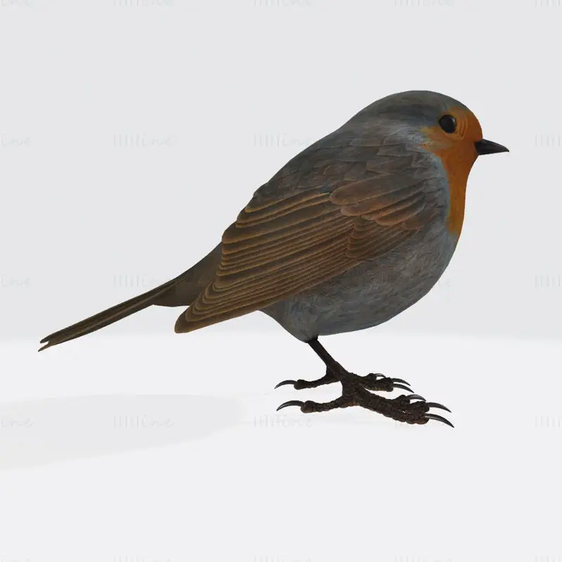Modelo de impresión 3D del pájaro Robin