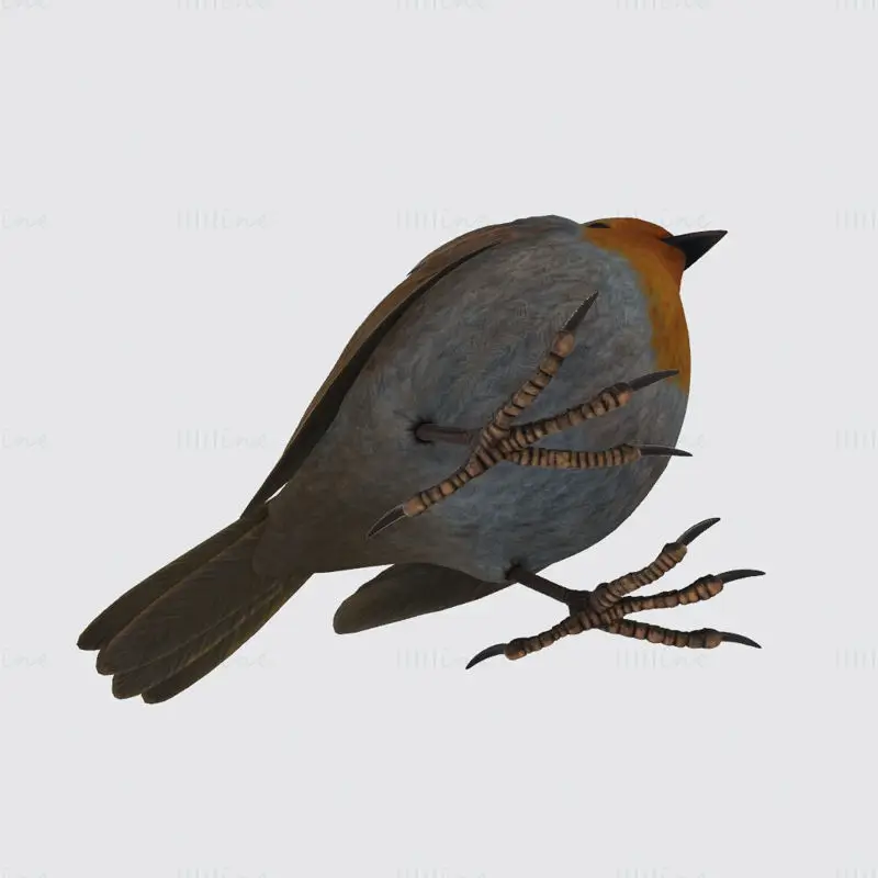 Rotkehlchen Vogel 3D-Druck Modell