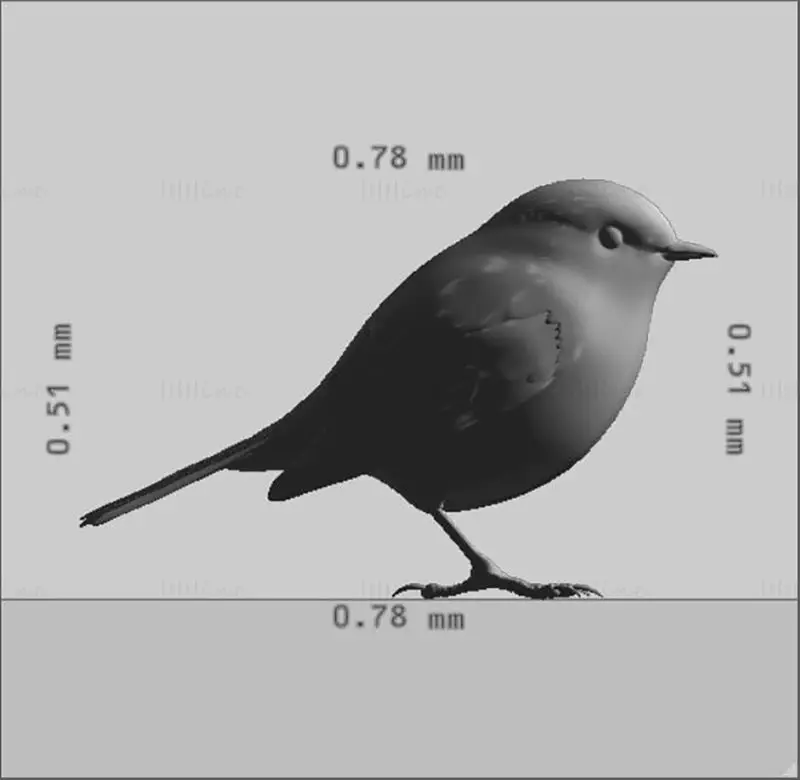知更鸟 3D 打印模型