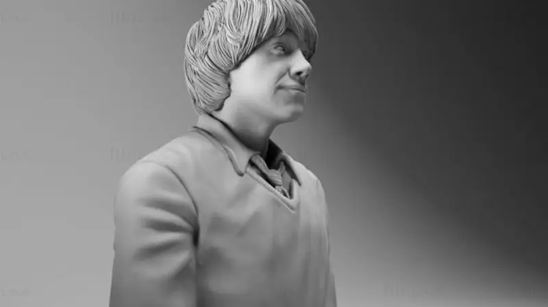 رون ويزلي - نموذج الطباعة ثلاثية الأبعاد لهاري بوتر