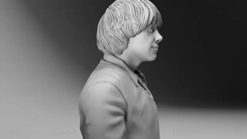 ロン・ウィーズリー - ハリー・ポッター 3D プリントモデル