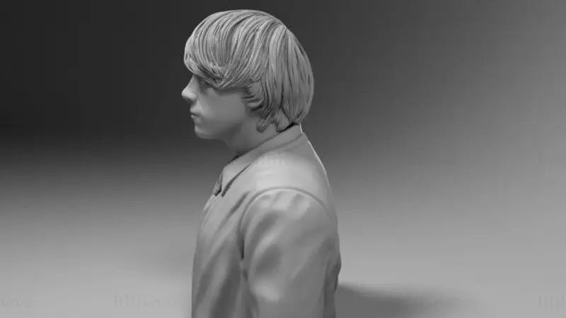 Ron Weasley - Harry Potter 3D Baskı Modeli