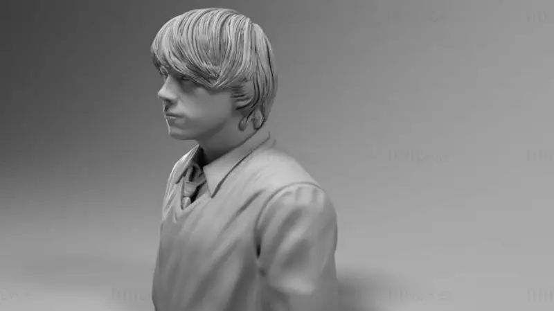 Рон Уизли - модель 3D-печати Гарри Поттера