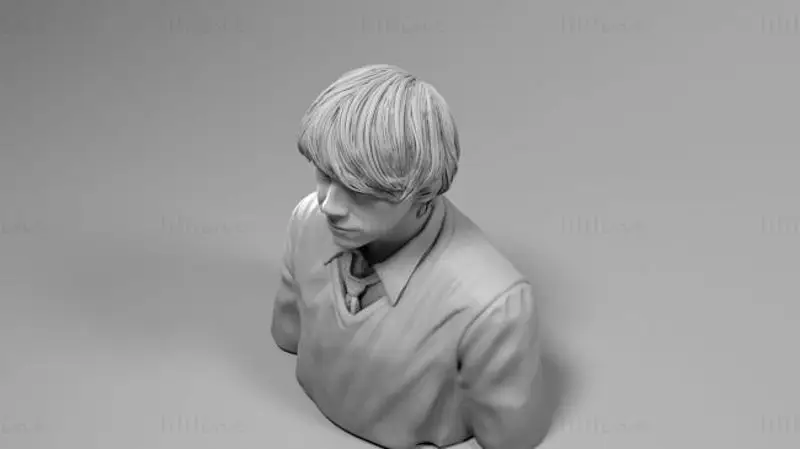 ロン・ウィーズリー - ハリー・ポッター 3D プリントモデル