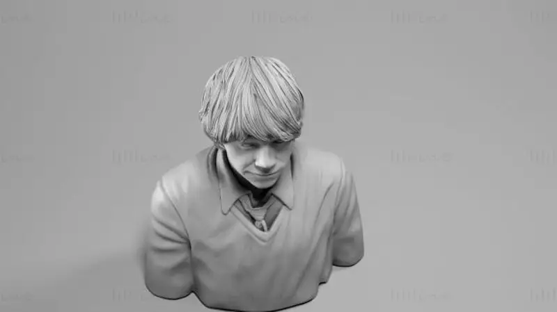 رون ويزلي - نموذج الطباعة ثلاثية الأبعاد لهاري بوتر
