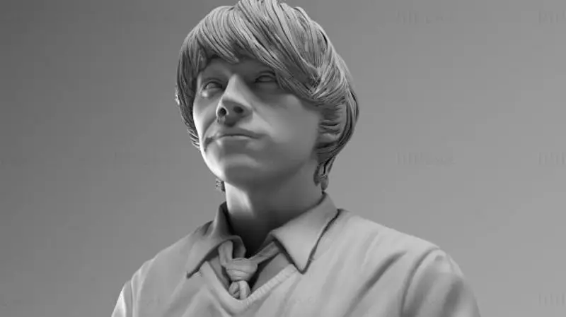 Ron Weasley - modelo de impressão 3D de Harry Potter