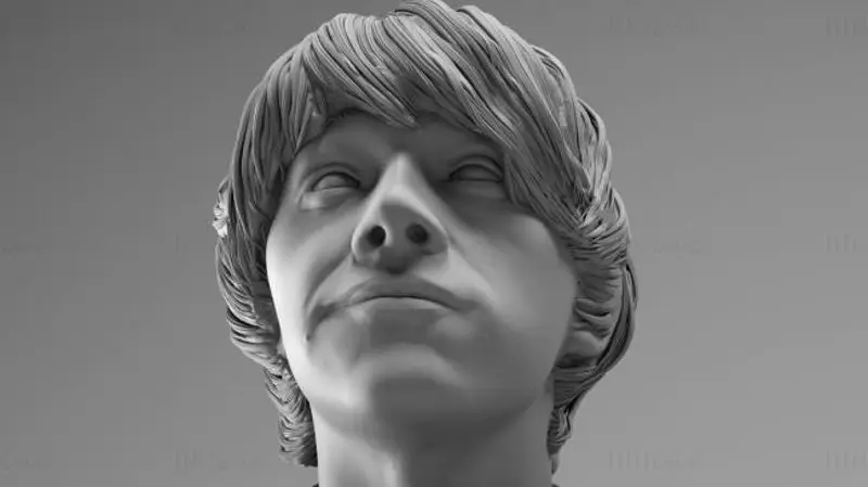 罗恩·韦斯莱 - 哈利·波特 3D 打印模型