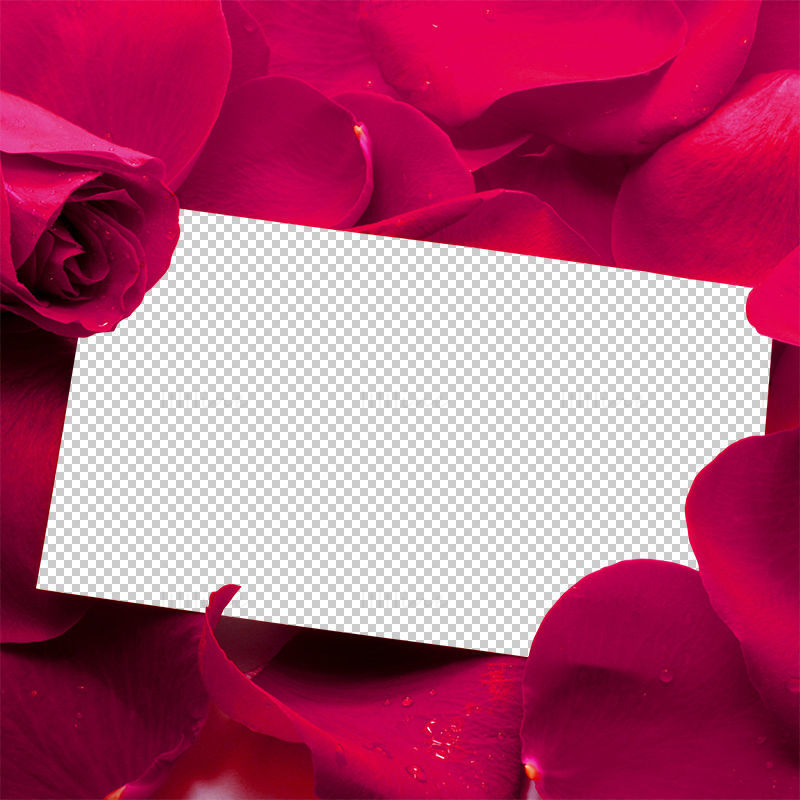 Cadre photo rose png