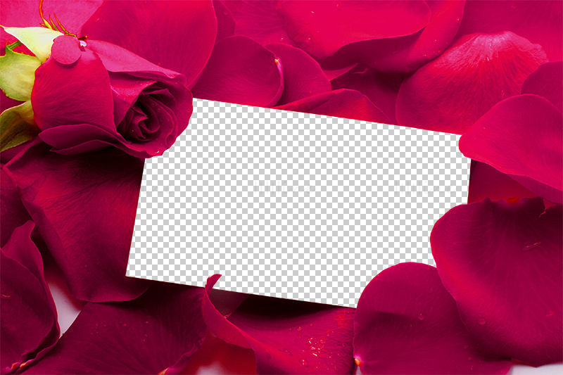 Cadre photo rose png