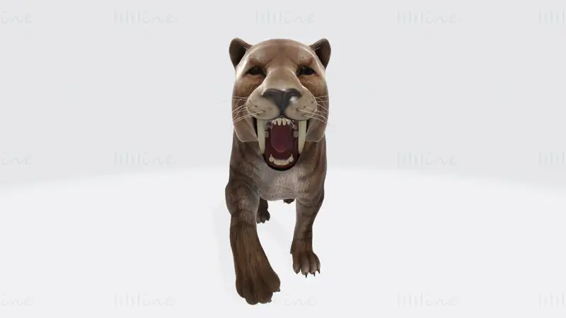 Saber Toothed Cat 3D Print Model