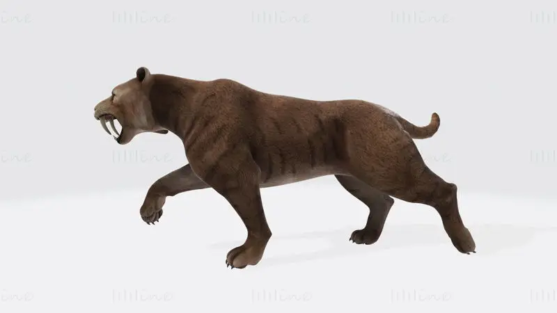 Saber Toothed Cat 3D Print Model