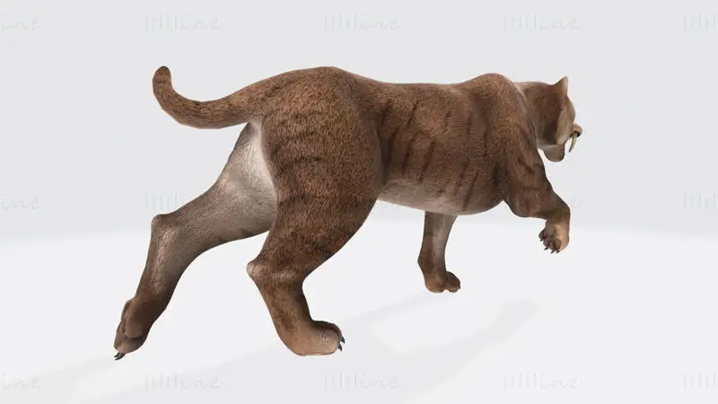 Saber Toothed Cat 3D Print Model