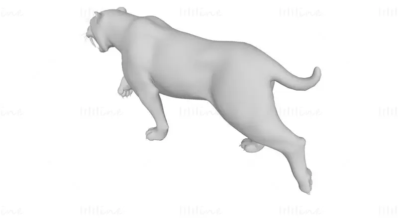 Saber Toothed Cat 3D Print Model