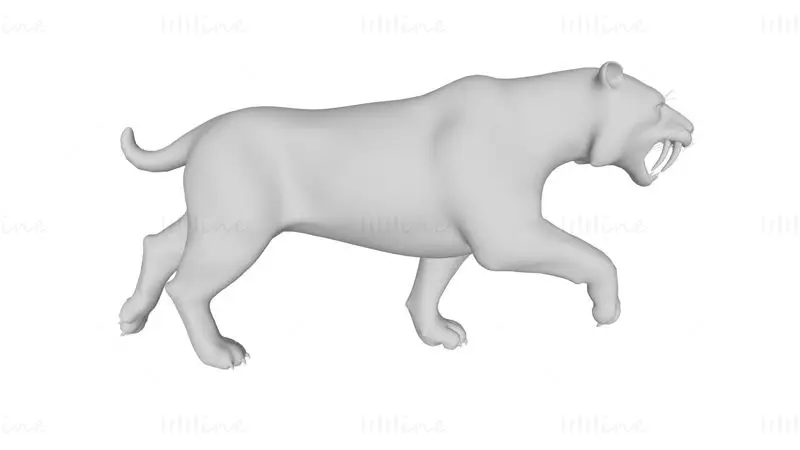 Saber Toothed Cat 3D Print Model