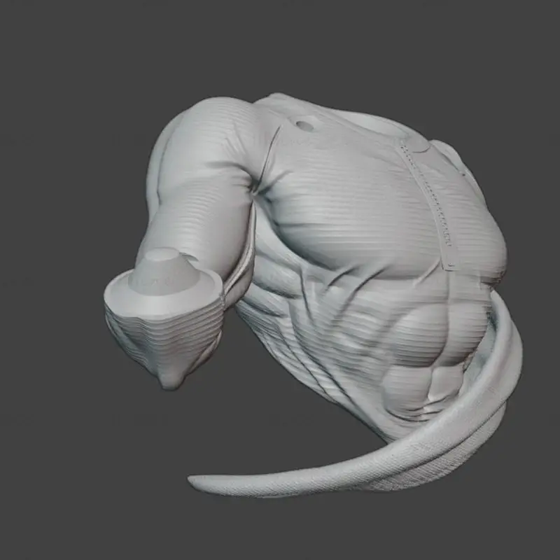 Busto de Saitama Modelo de impresión 3D STL