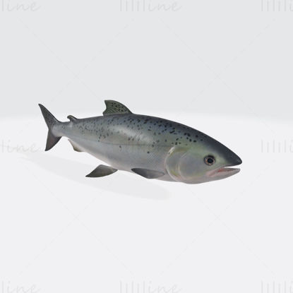 Salmon Fish Animal 3D Printing Model